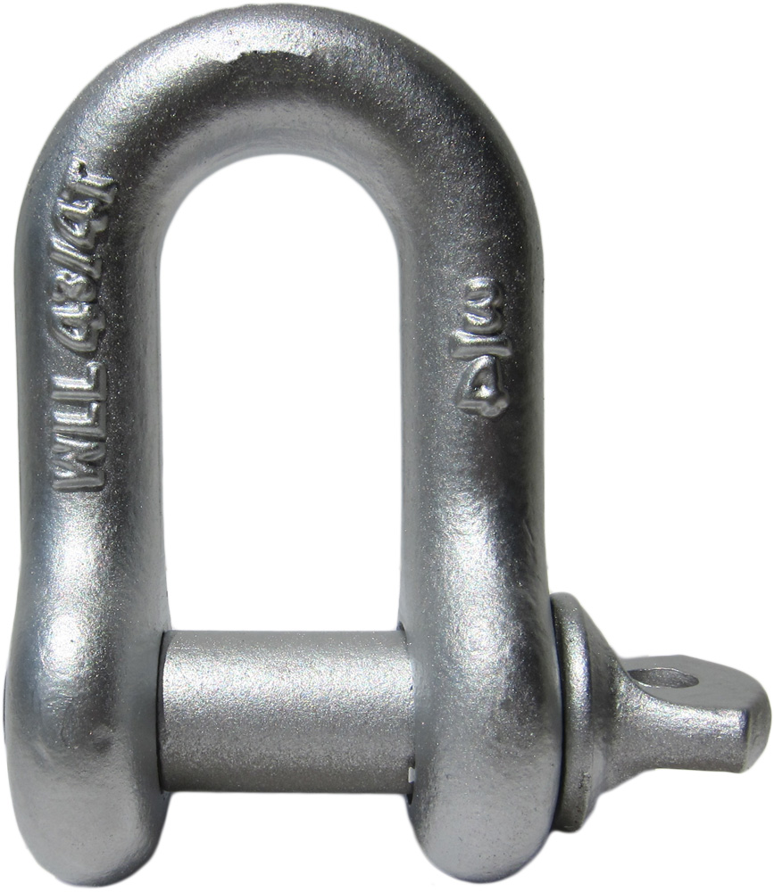 Alloy forged Galvanized European Type Large Dee chain Shackle 