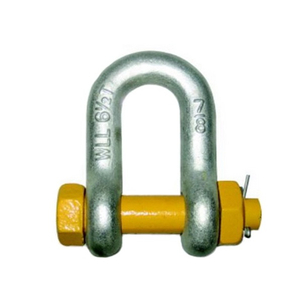 US Type High Tensile Forged G2150 dee shackle with bolt