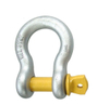 US Type High Tensile Forged Shackle G209